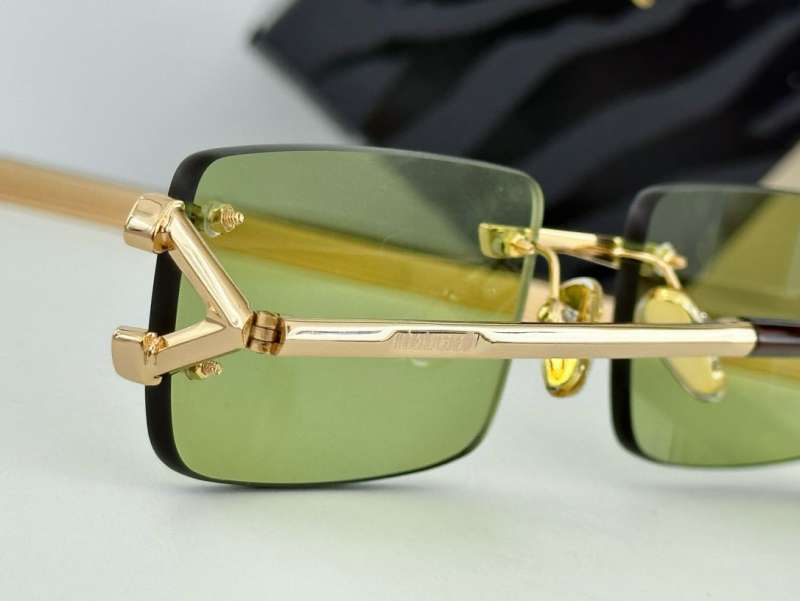 Picture of Roberto Cavalli Sunglasses _SKUfw55481878fw